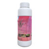Alpha Naphthyl Acetic Acid
