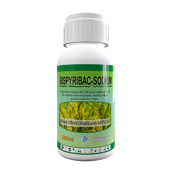 Bispyribac-sodium400SC Bispyribac-sodium