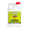 Chlorpyrifos