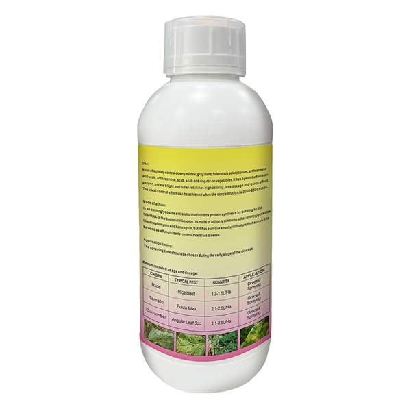 Kasugamycin2