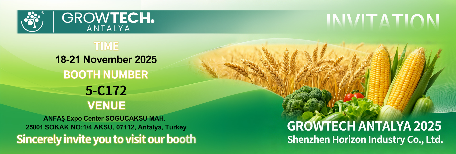 Home 1 horizon banner